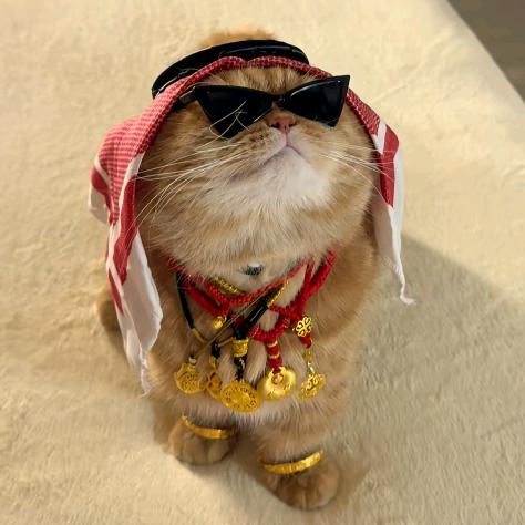 “ৡ夜้้ꦿ᭄࿐