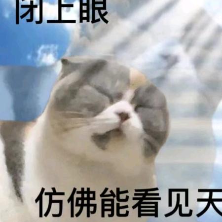 l don't care