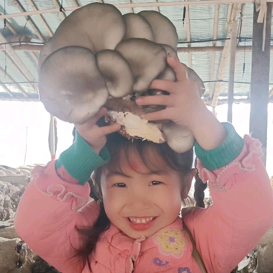 头发长了扎起来