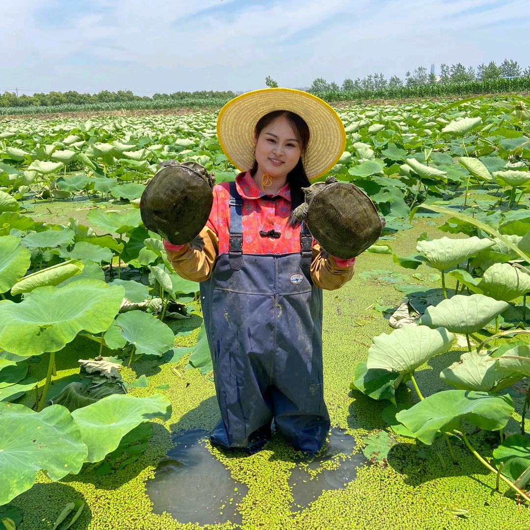 🌻诗琪~甲鱼姑娘