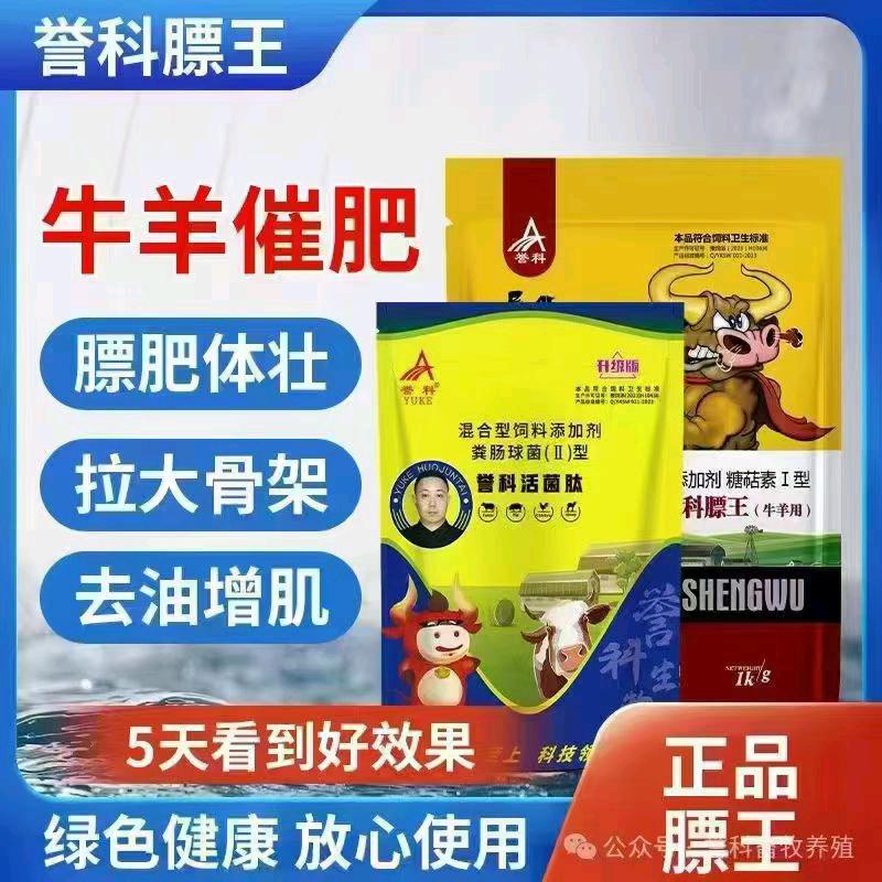 誉科膘王源头厂家直播