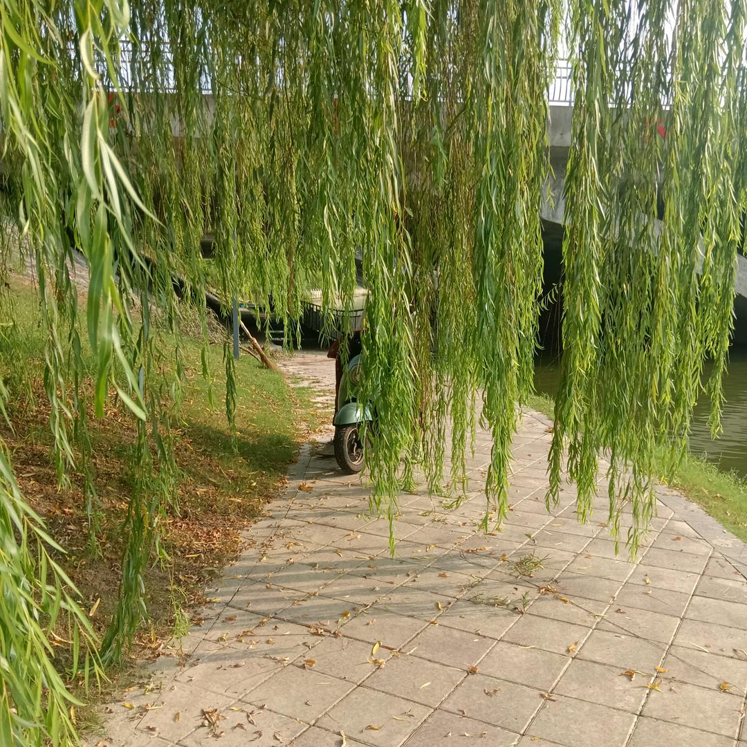 三哥生活记录
