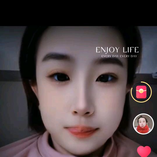 智慧果