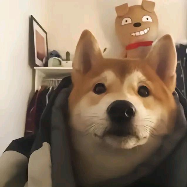 我爱喝娃哈哈🌈