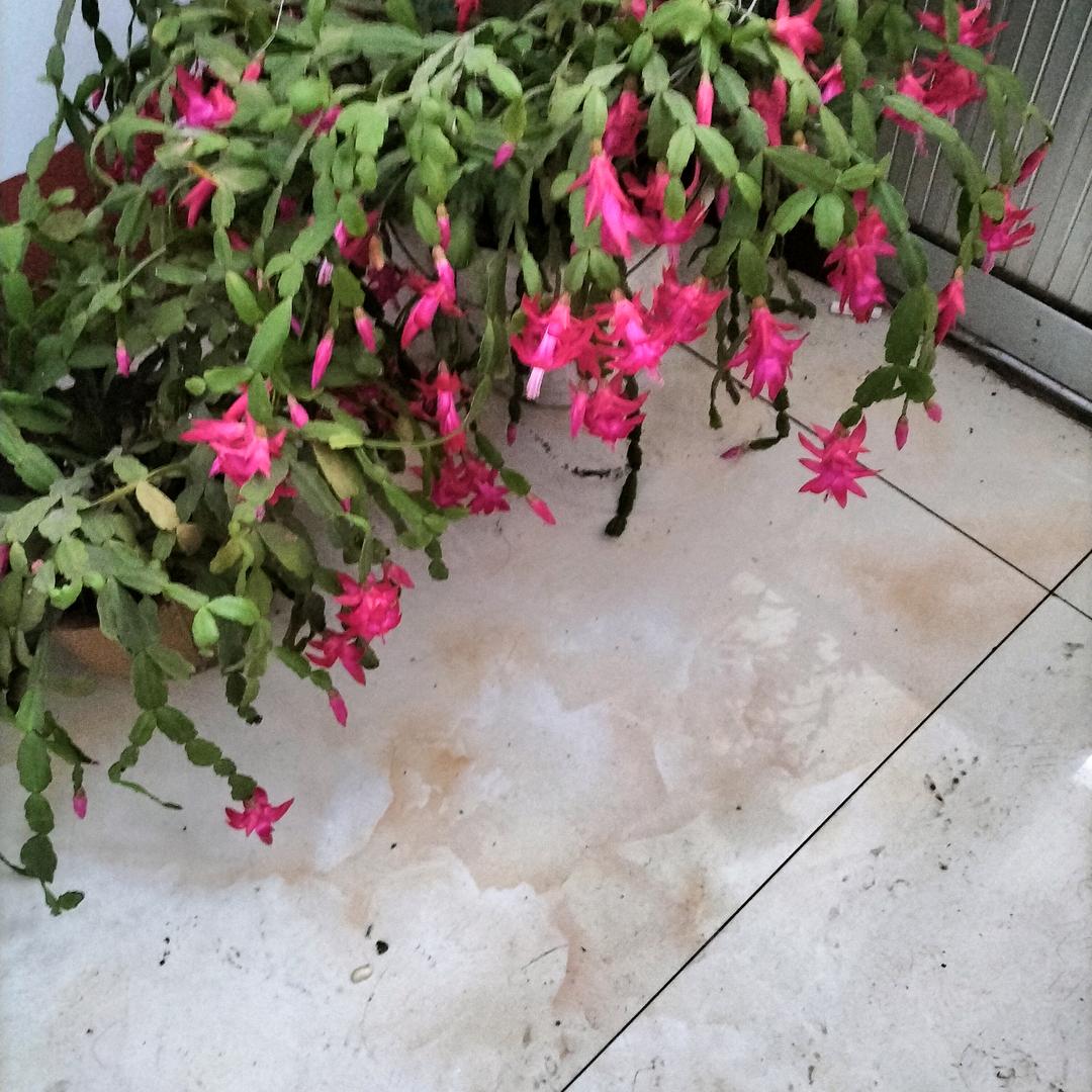 沂源耿姐