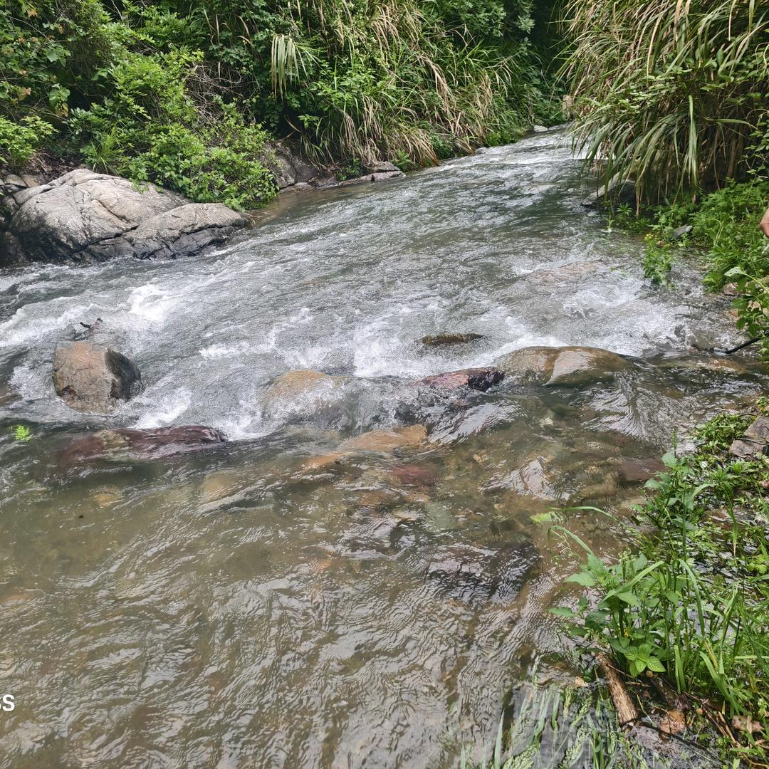 一路有山有水
