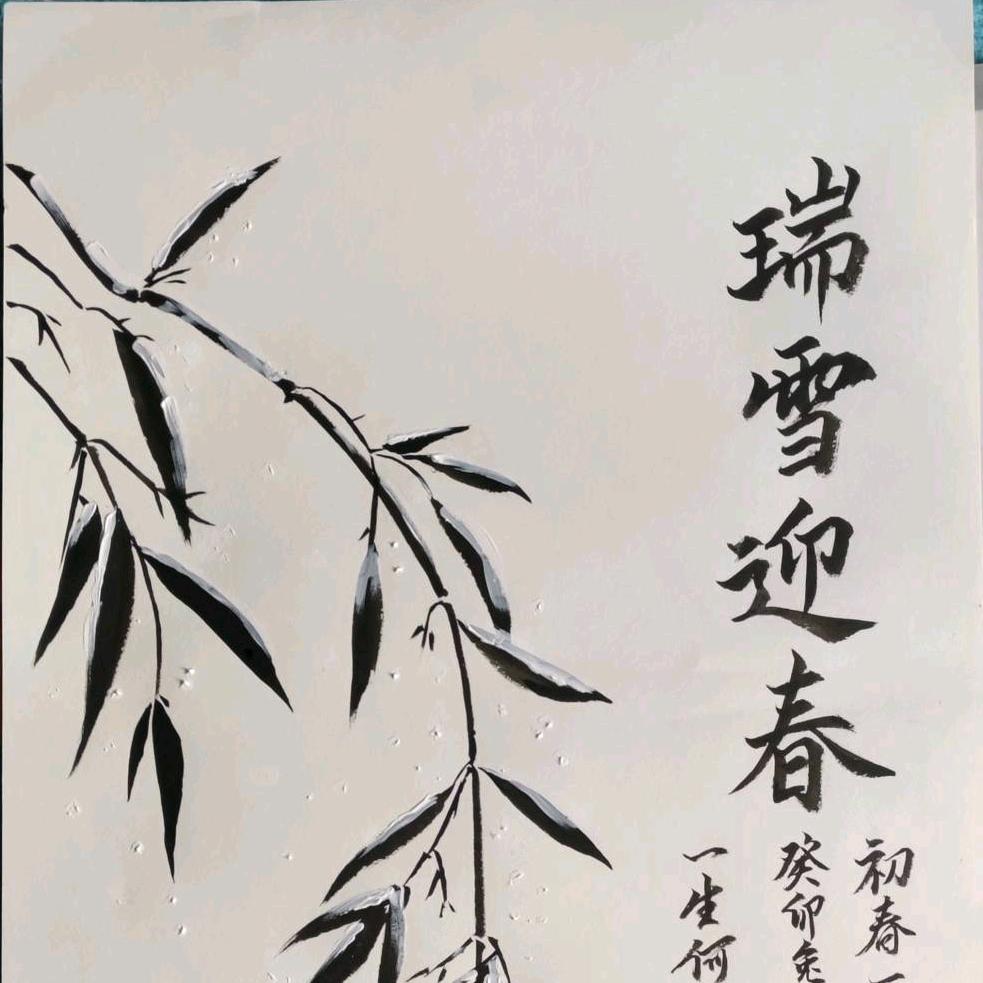 琴音何来头像