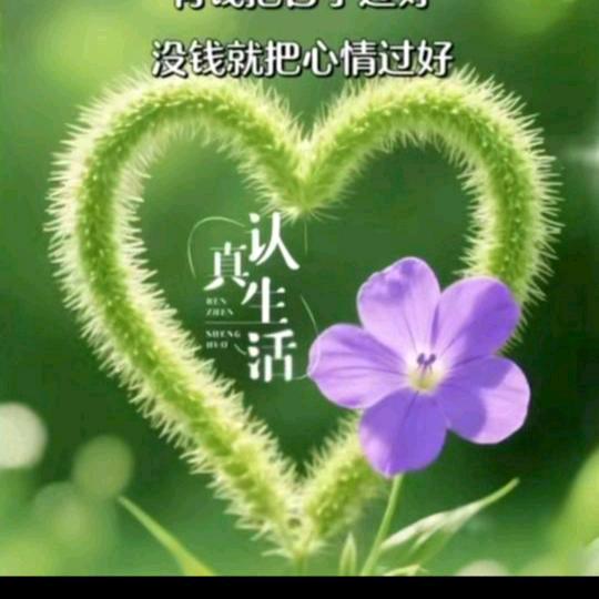 独蛊