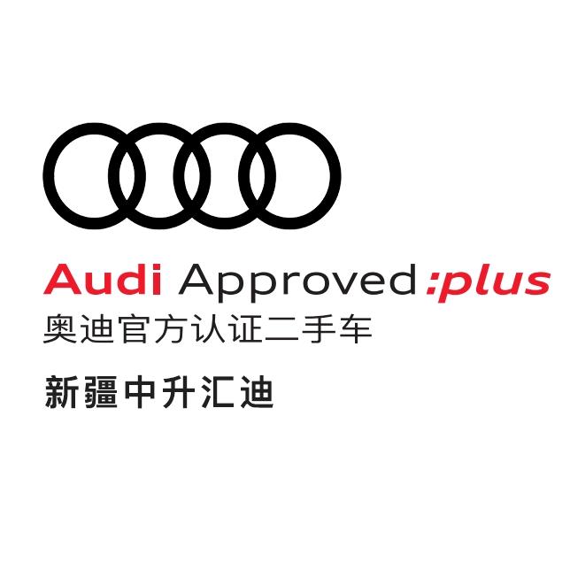 新疆中升汇迪二手车亚森
