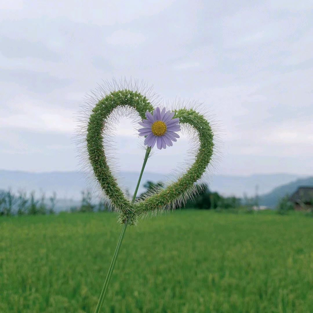 绿水青山