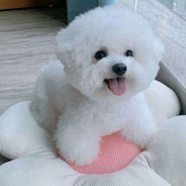 晓云朵