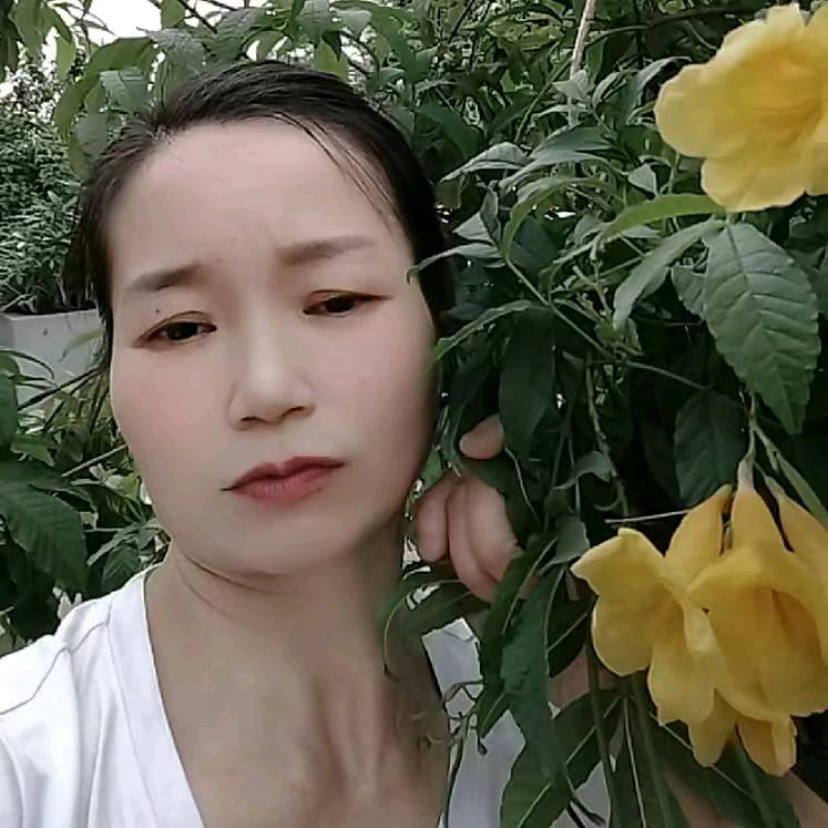 晴姐