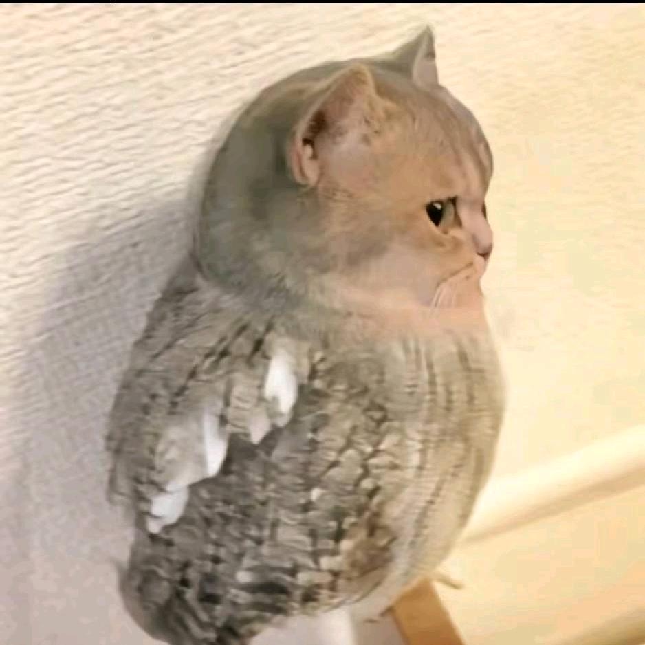 玖拾玖点玖