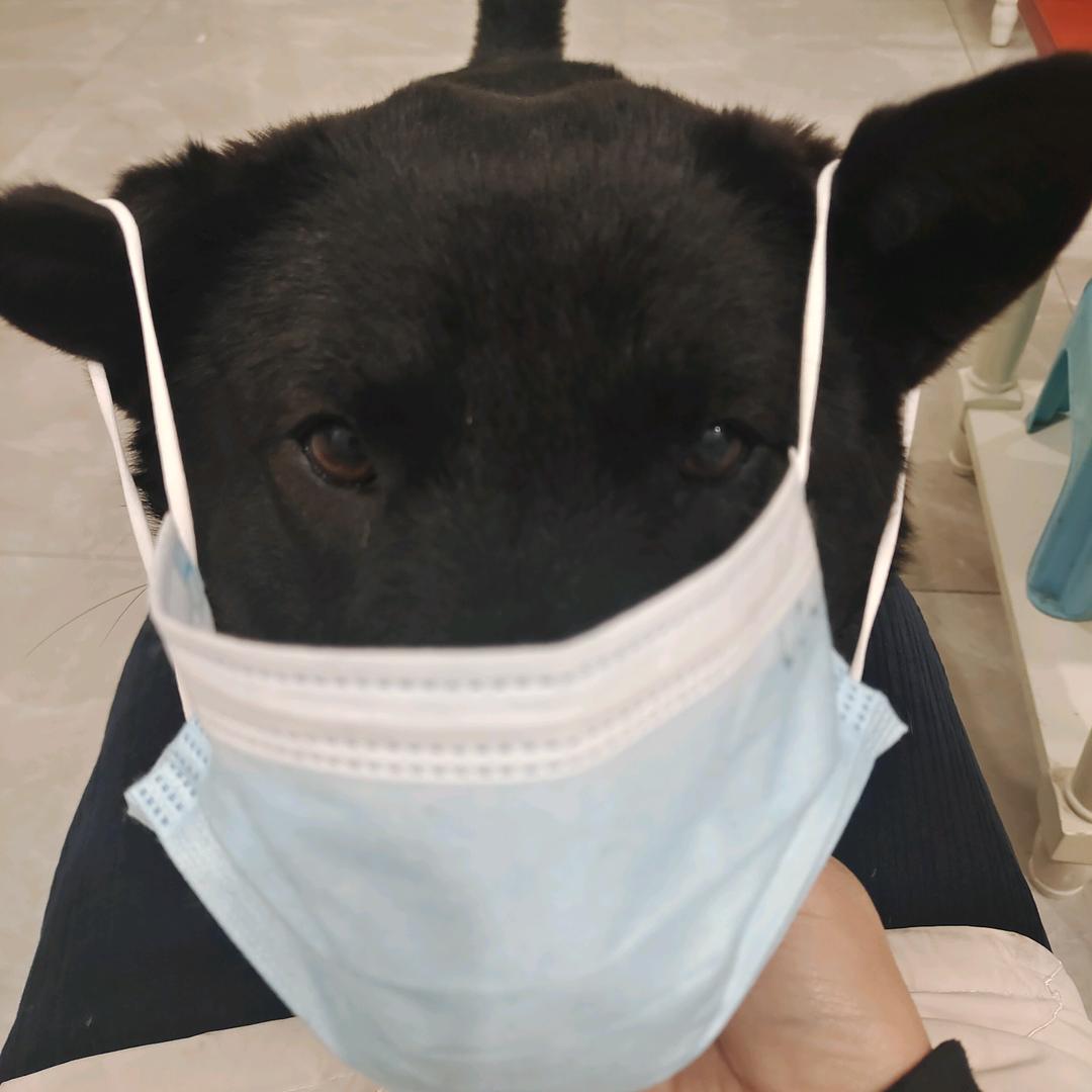 纸因有你