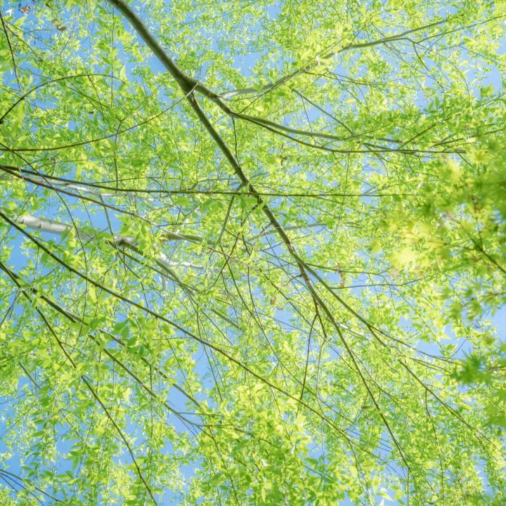 美好生活百货商行