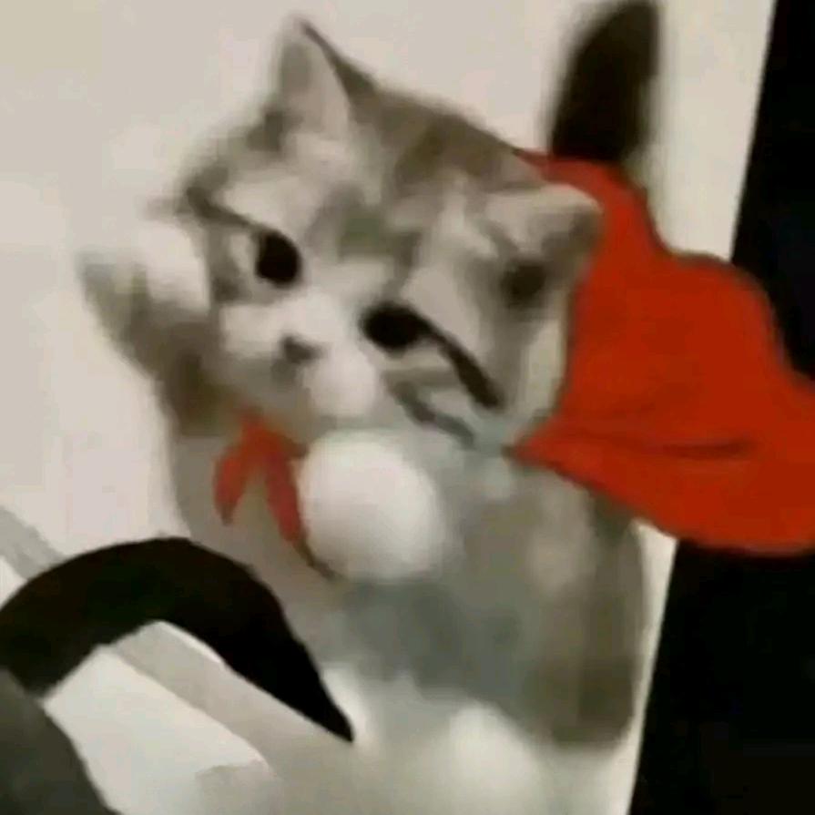 快乐小猫me剧场