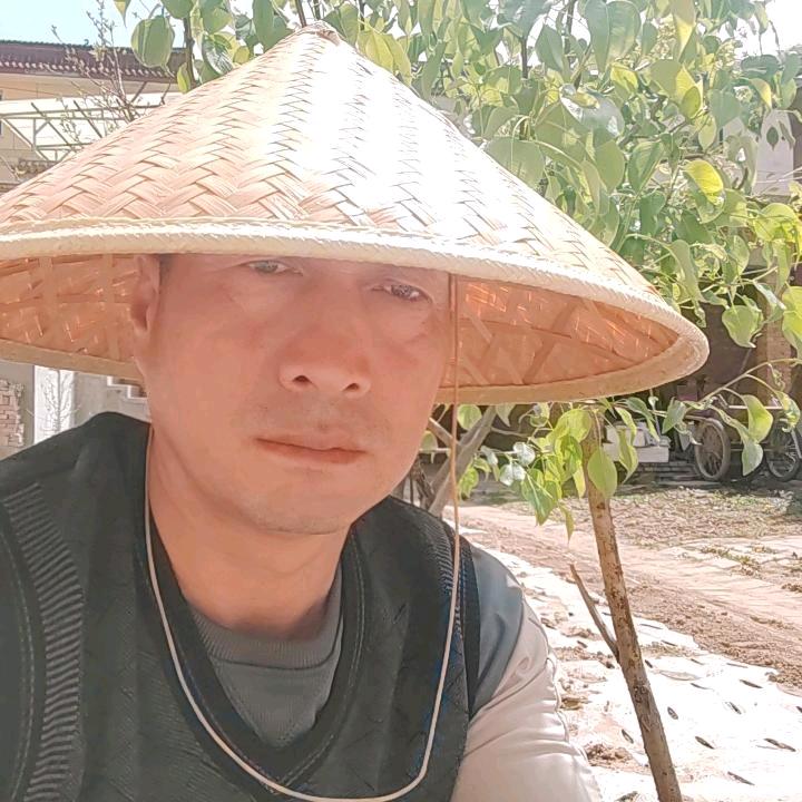 奇恒之腑一