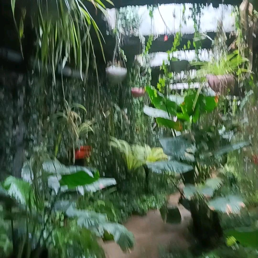 随遇而安