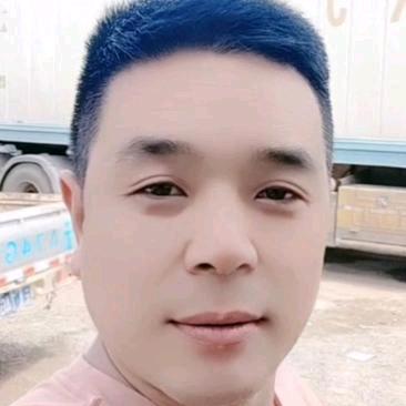 向往蓝天任翱翔