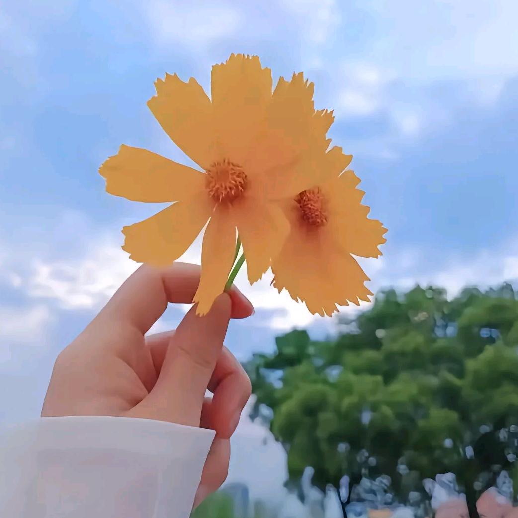 佩