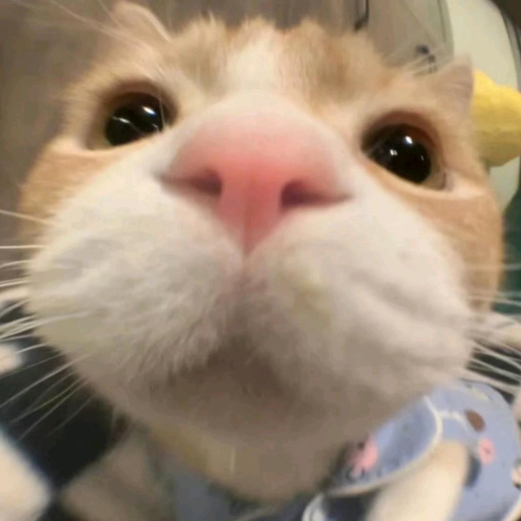 幸运小王