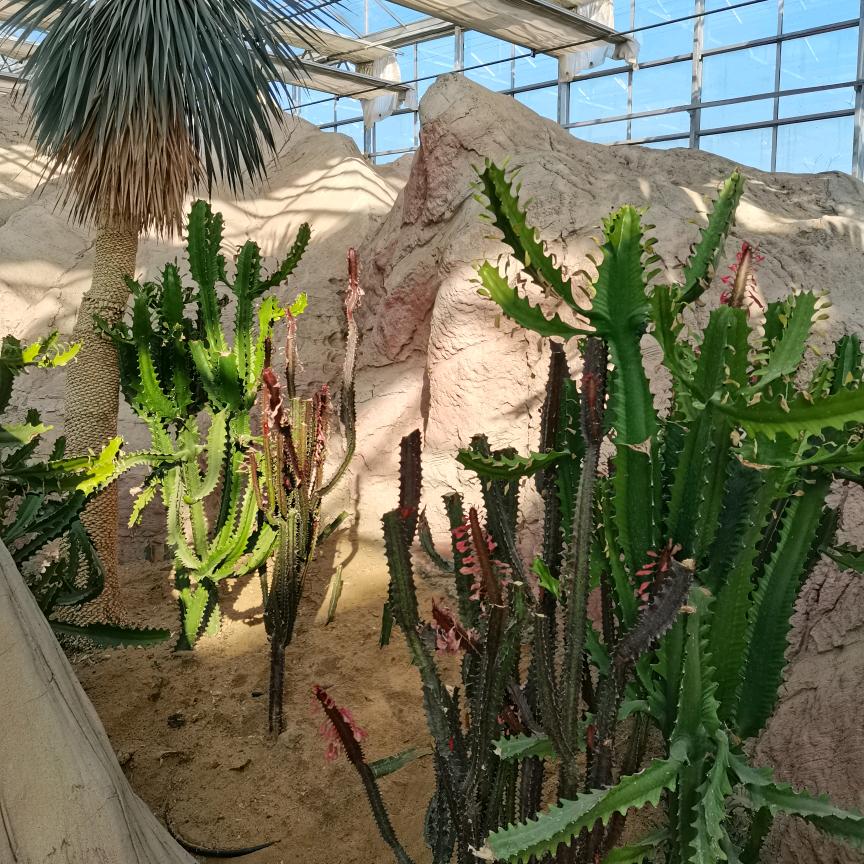 🐉🇨🇳小包总🇨🇳💫