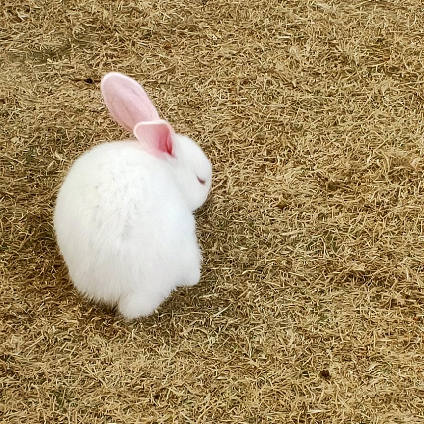 丽丽好物甄选💕