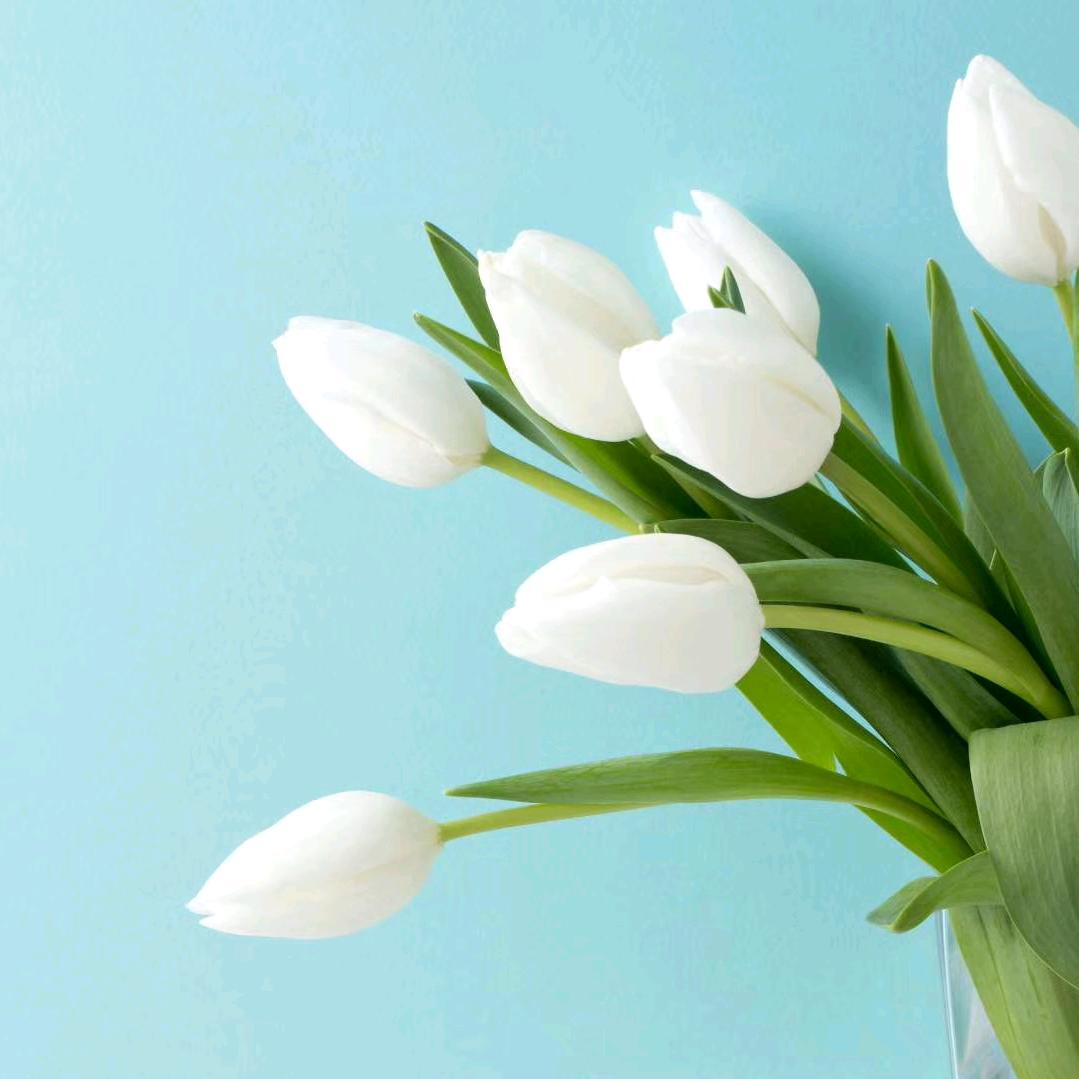 1314沉不下爱你的❤️