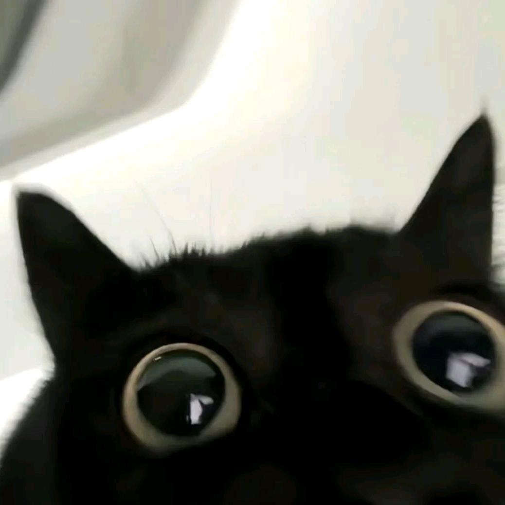 北北