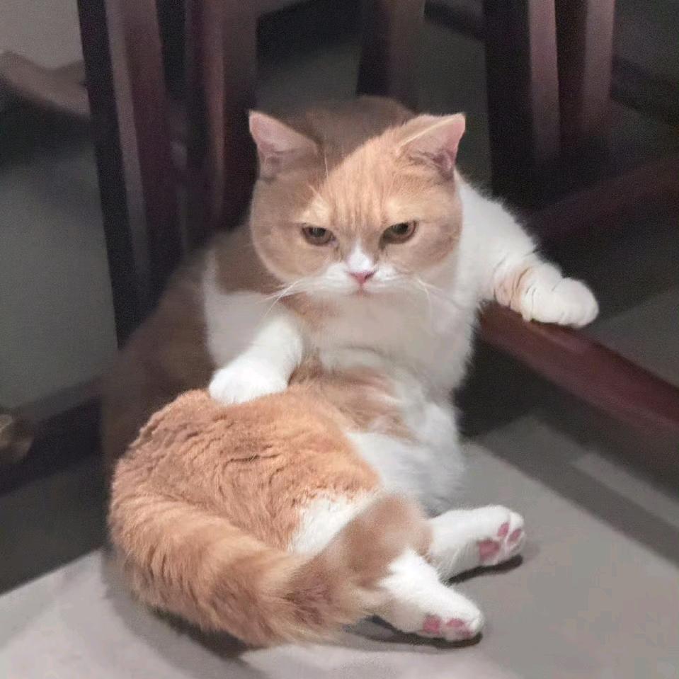 哈哈哈哈哈哈哈哈哈