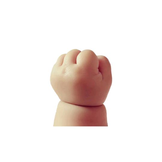 毛崽