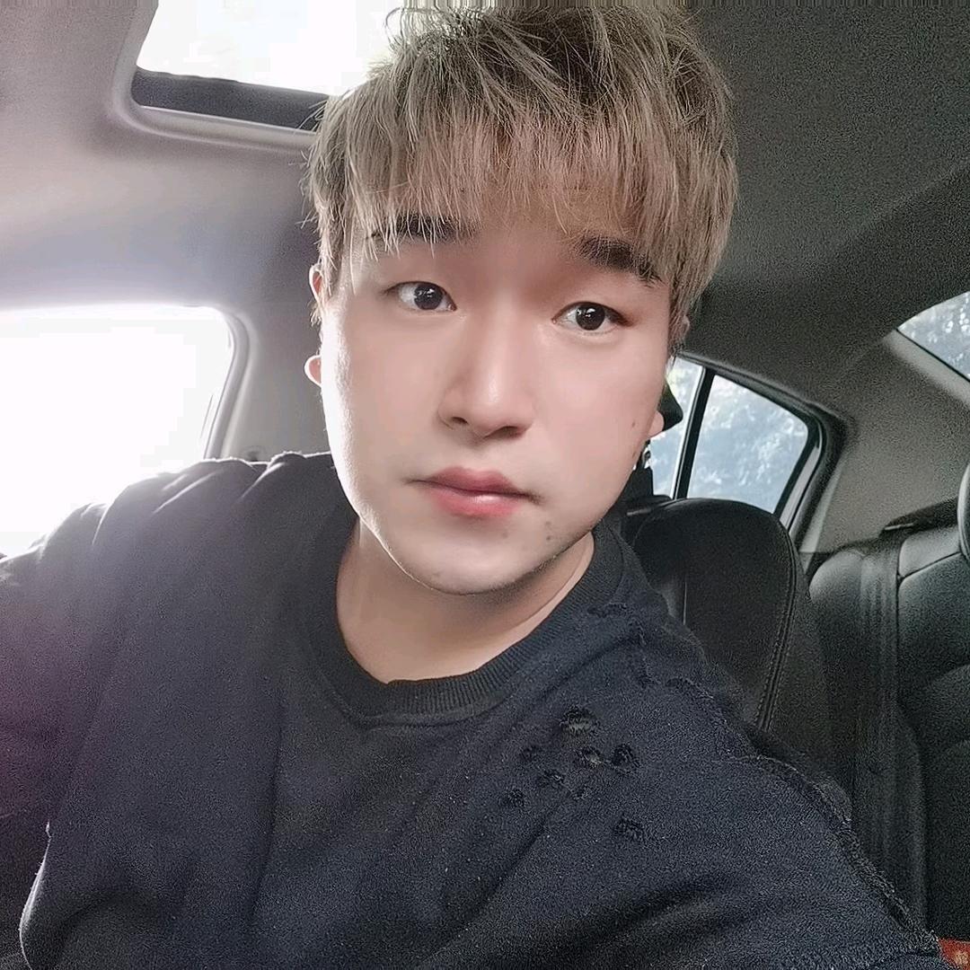苏逸辰