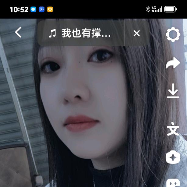 可可豆