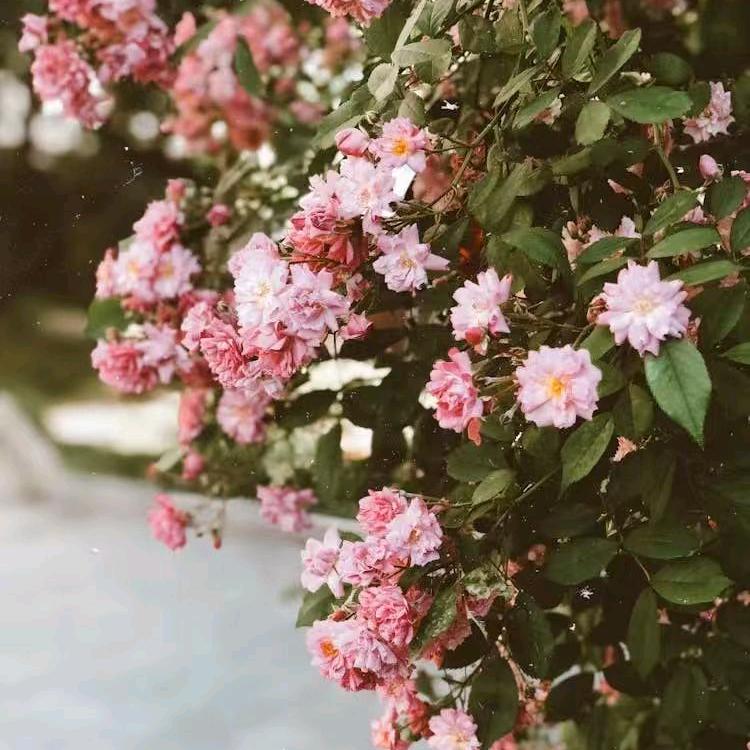 平平安安过一生