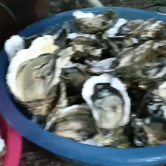 希望能发财