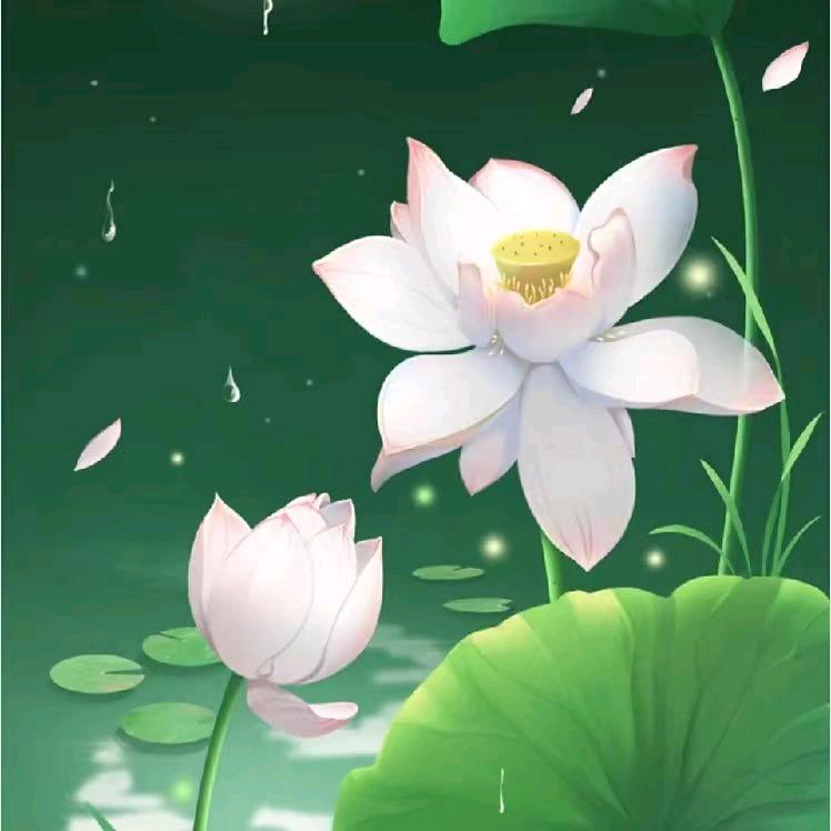 自由自在呀！