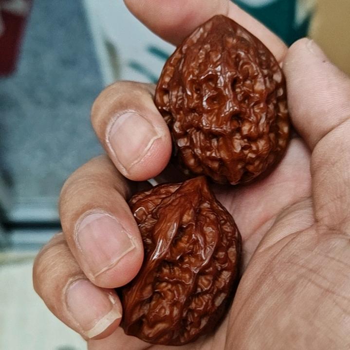 核桃疯玩家