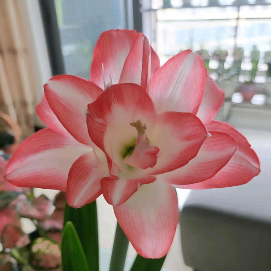 @潘🍬🍭🍒🍓🍞🧀