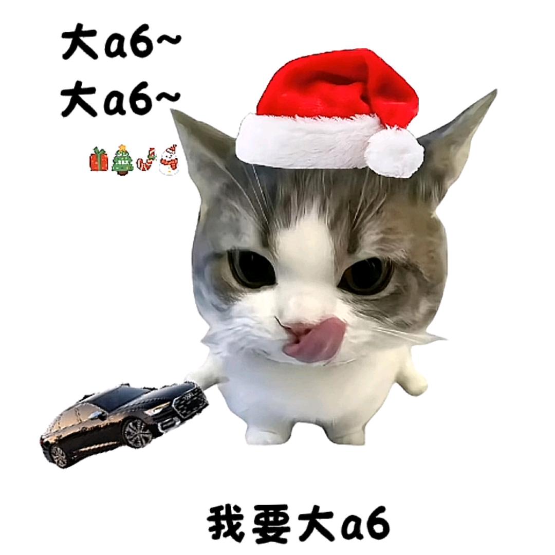巅峰极速轩轩