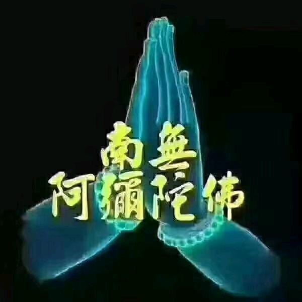 小光头1号