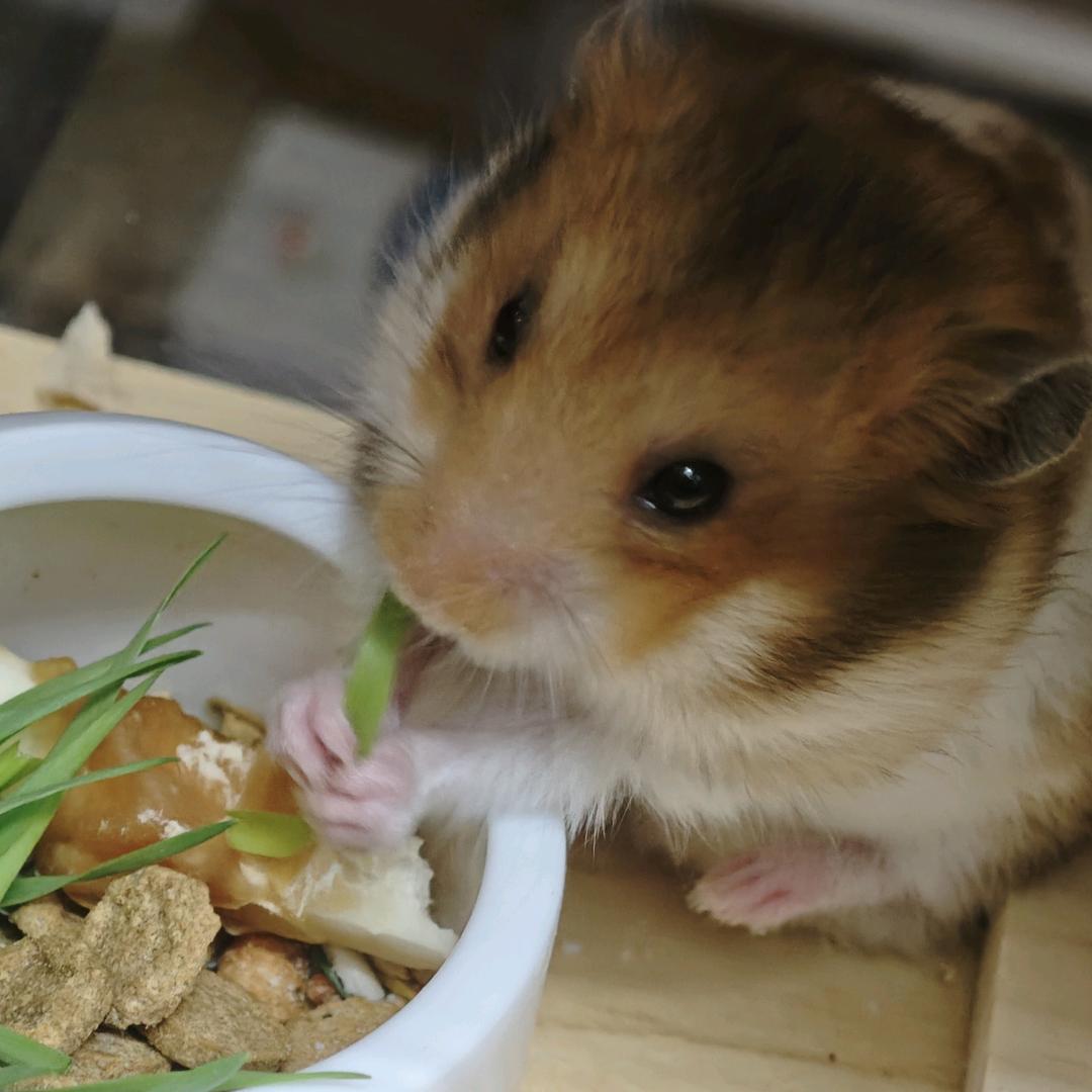 挽你