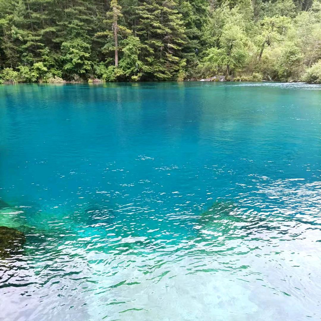 爱看短剧的米奇