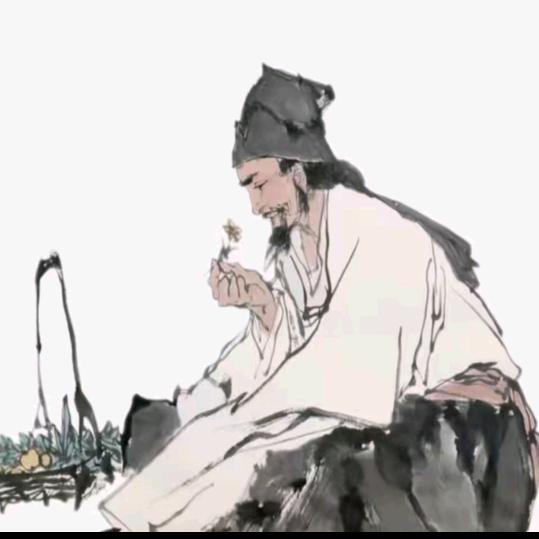 皮友信息咨询工作室