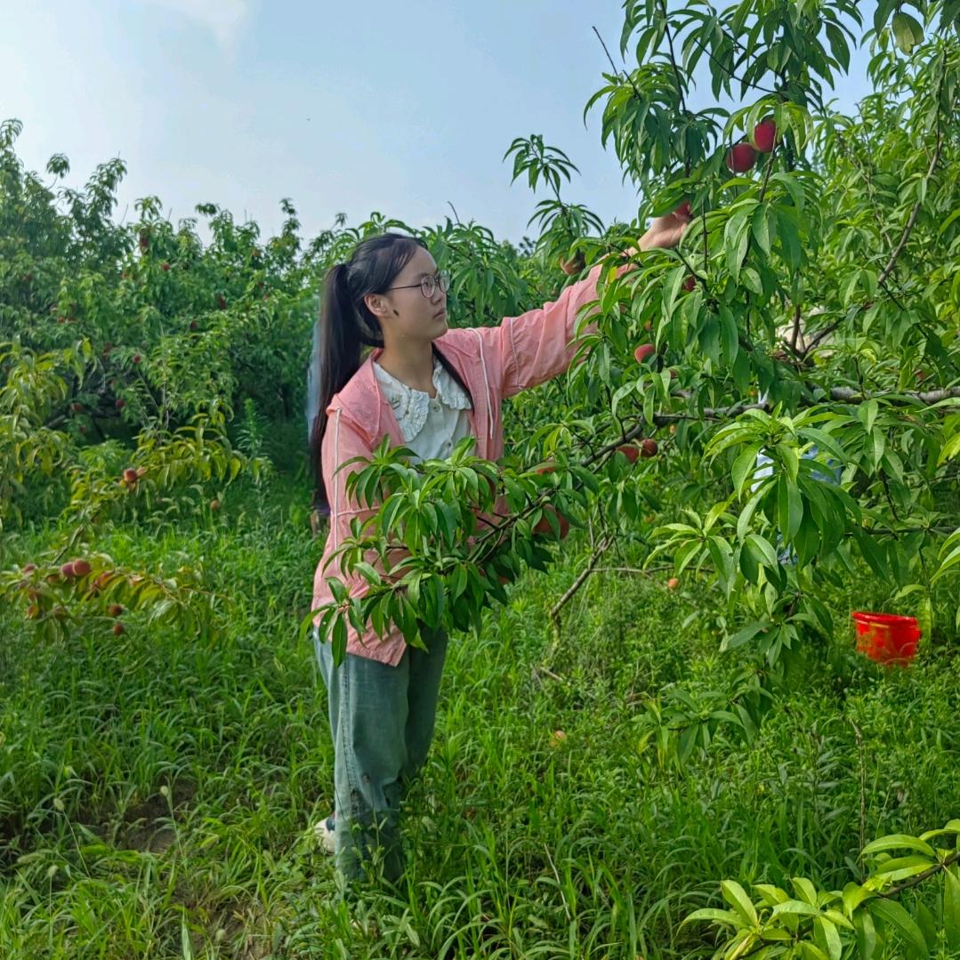 彼岸༄花已落