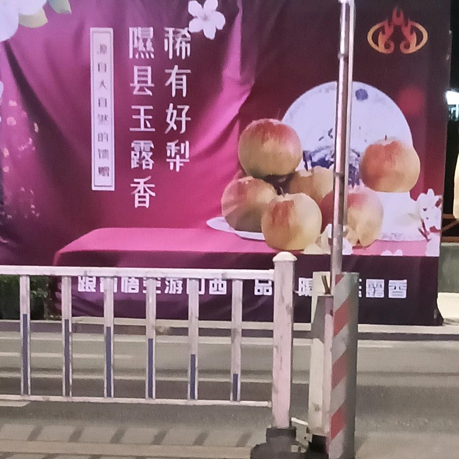 好好奋斗挣钱