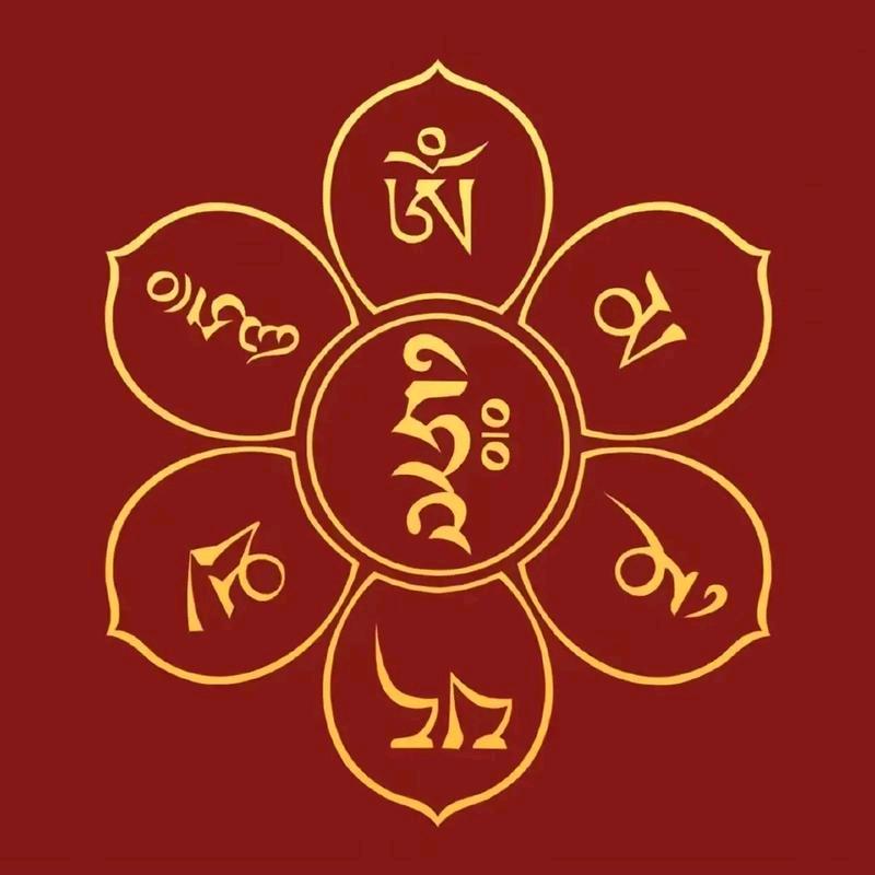 午舒师兄   🕉️