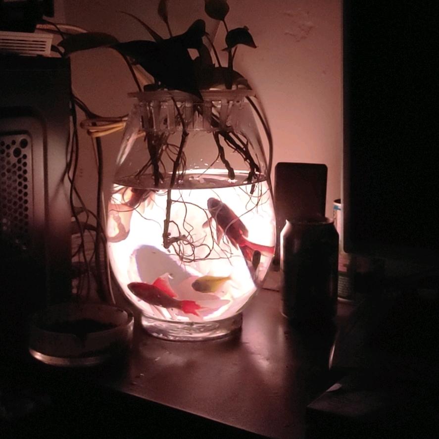 殺掱X