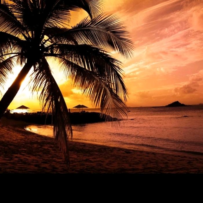 握不住的沙，让它随风飘扬