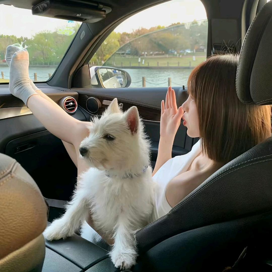 不要打歪我的齐刘海