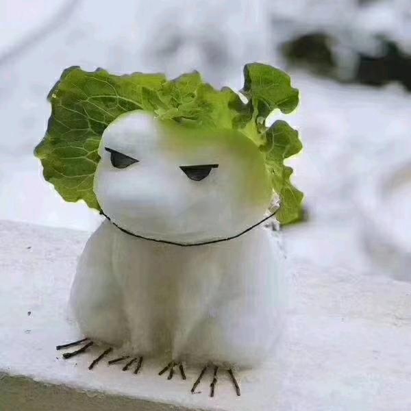 小顾